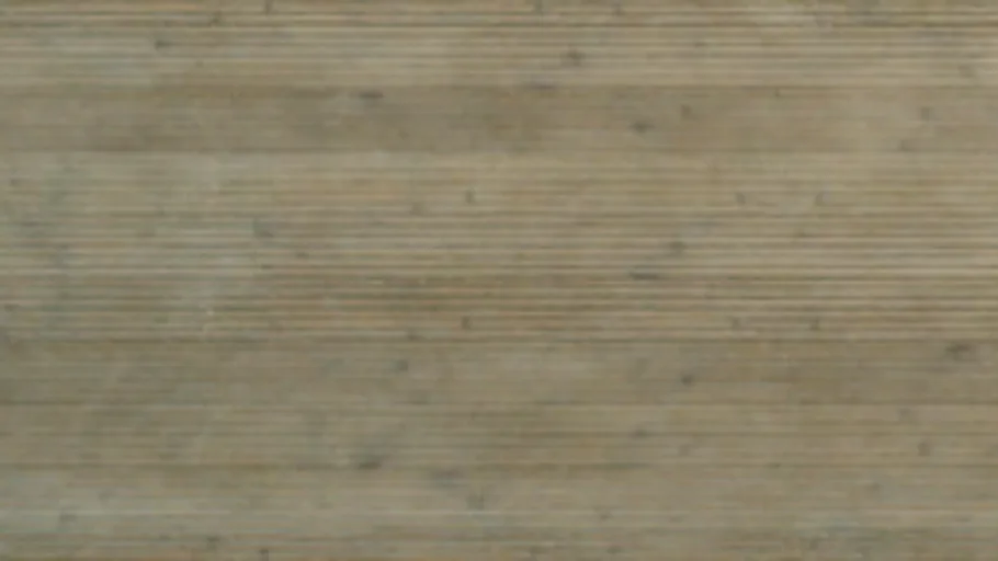 Planks 029