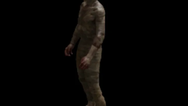 Mummy [PLAYERMODEL]
