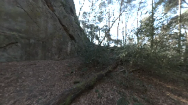 Day Environment HDRI 006 (2K)