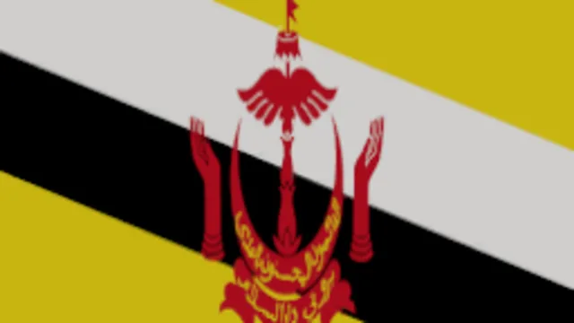 Brunei Flag