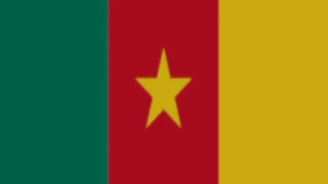 Cameroon Flag
