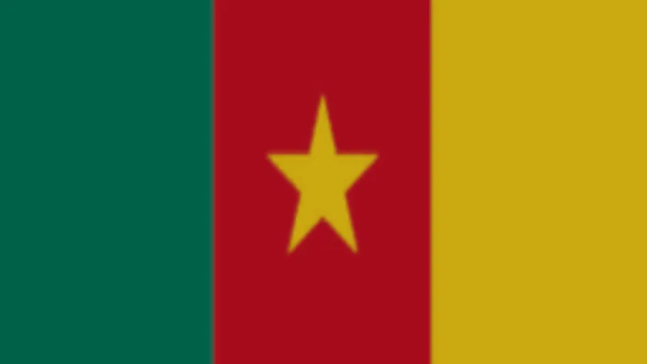 Cameroon Flag