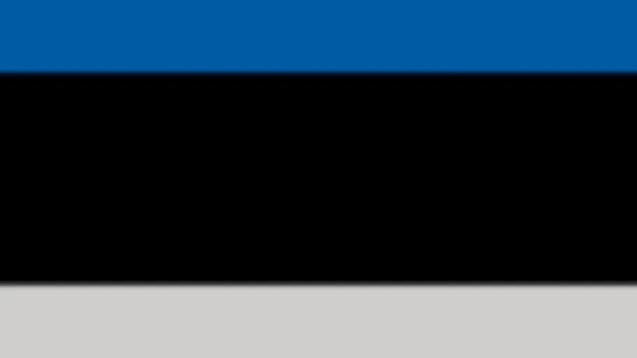 Estonia Flag