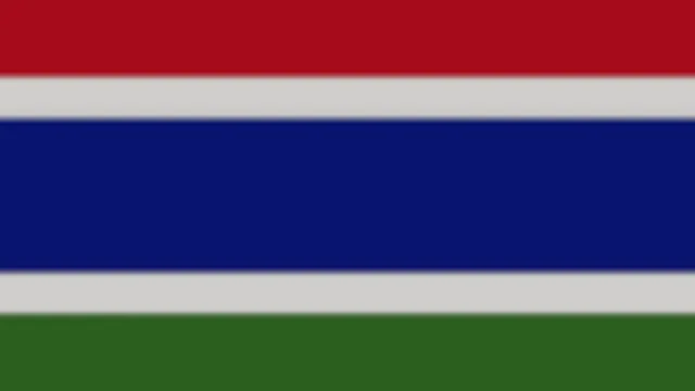 Gambia Flag