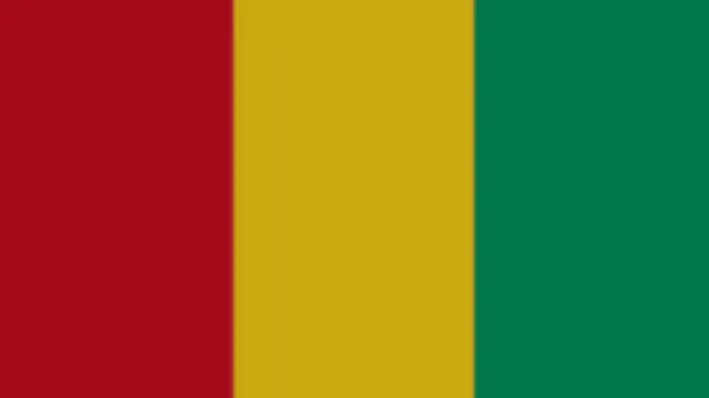 Guinea Flag