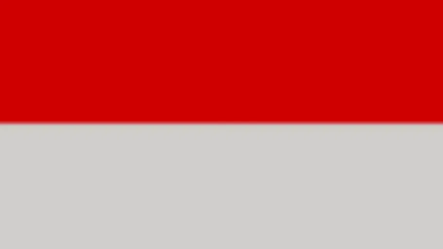 Indonesia Flag
