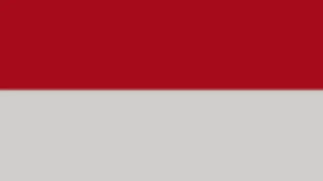 Monaco Flag