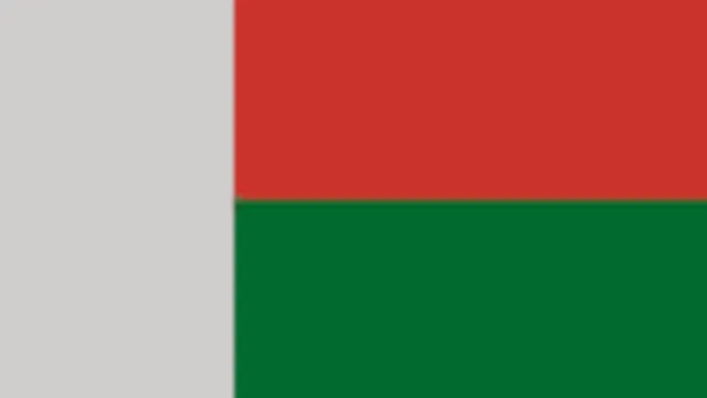 Madagascar Flag