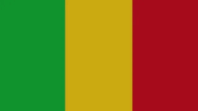 Mali Flag