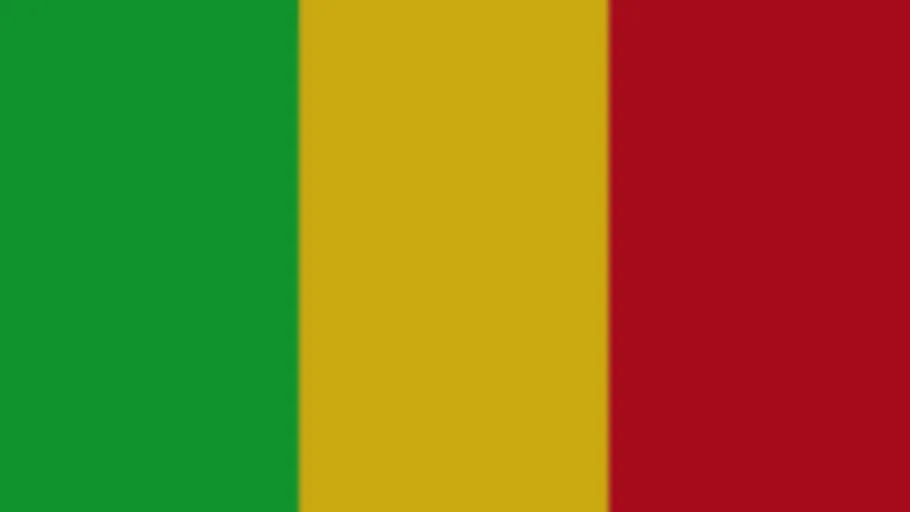 Mali Flag