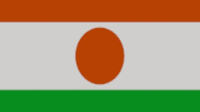 Niger Flag