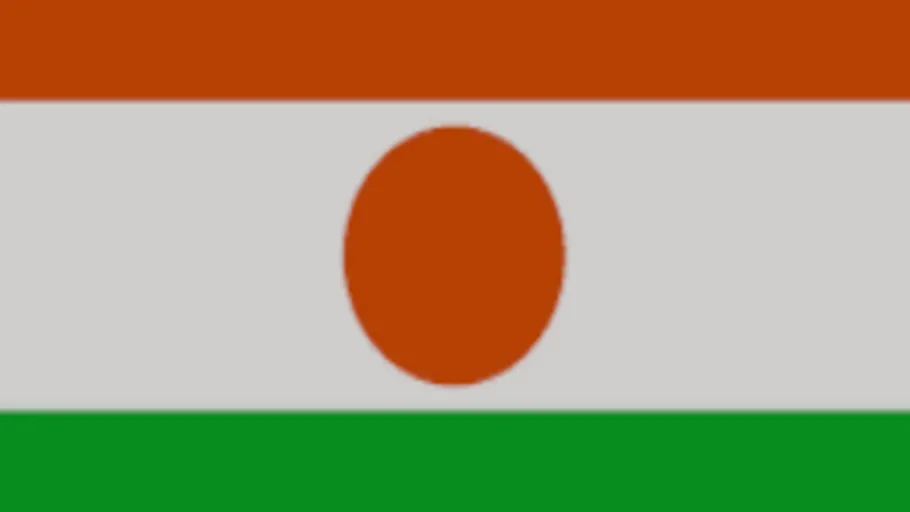 Niger Flag