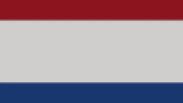 Netherlands Flag