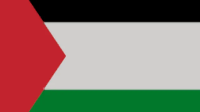 Palestine Flag