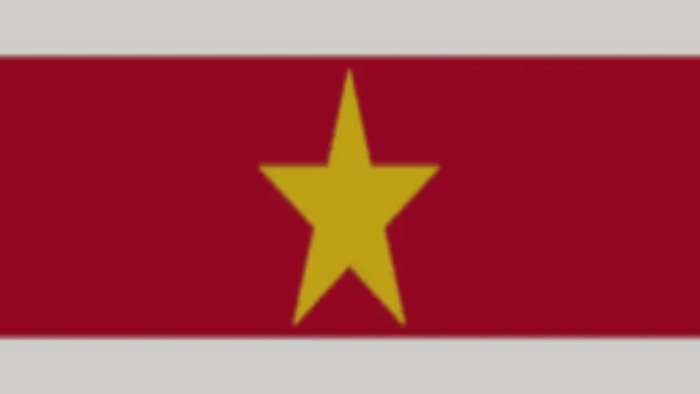 Suriname Flag