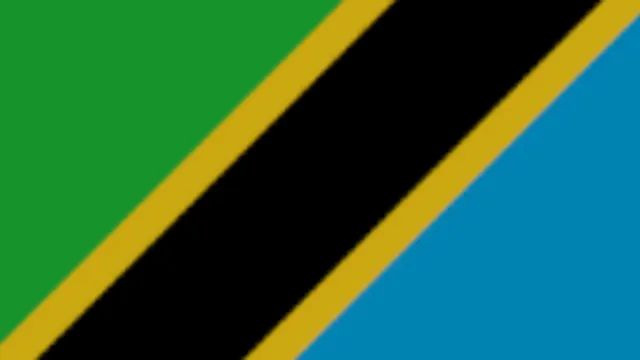 Tanzania Flag