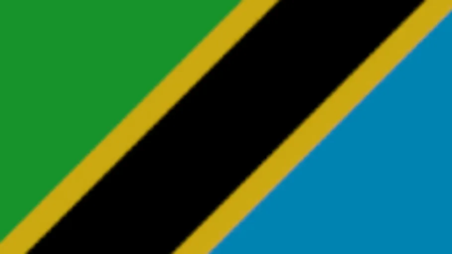 Tanzania Flag