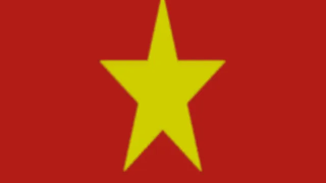 Vietnam Flag