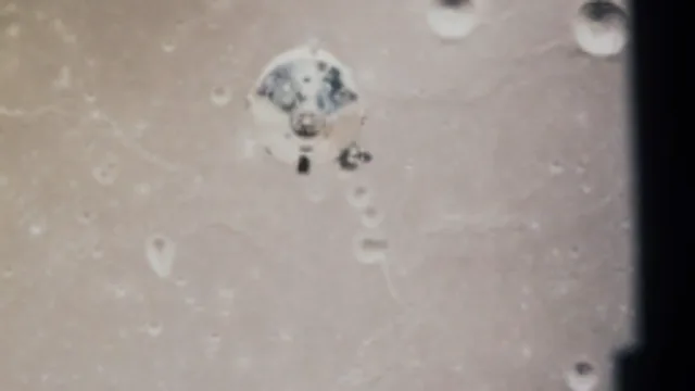 Apollo 11 Command Module