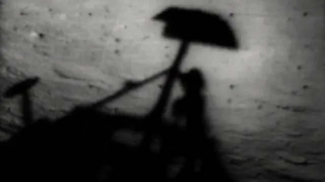 Surveyor 1 Shadow