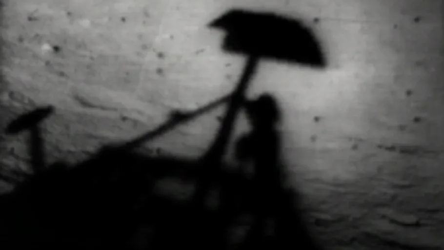 Surveyor 1 Shadow