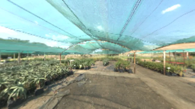 Aloe Farm Shade House (2K)
