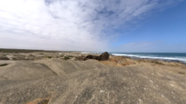 Aristea Wreck (2K)