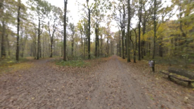 Autumn Crossing (2K)