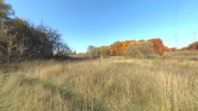 Autumn Meadow (2K)
