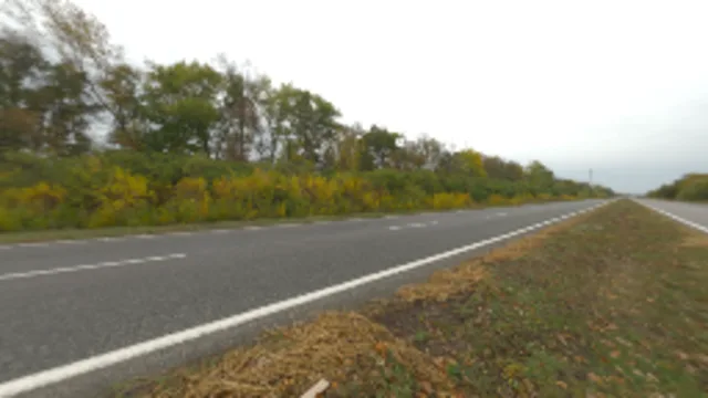 Autumn Road (2K)