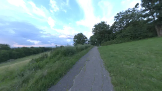 Bismarckturm Hillside (2K)