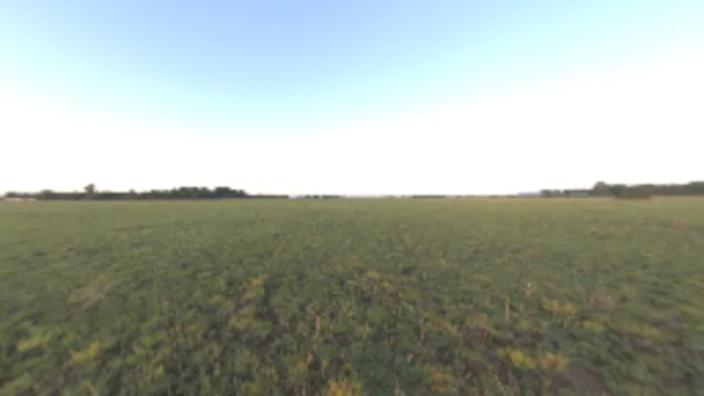 Bloem Field Sunrise (2K)
