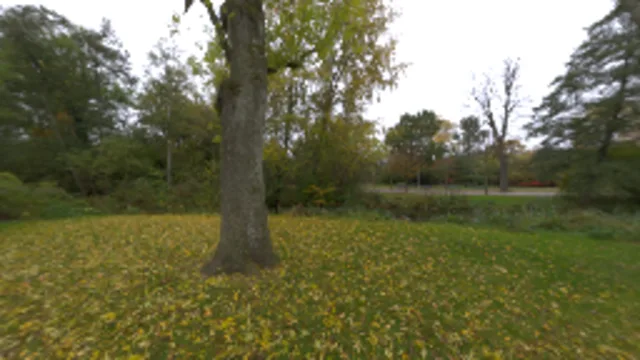Cloudy Vondelpark (2K)