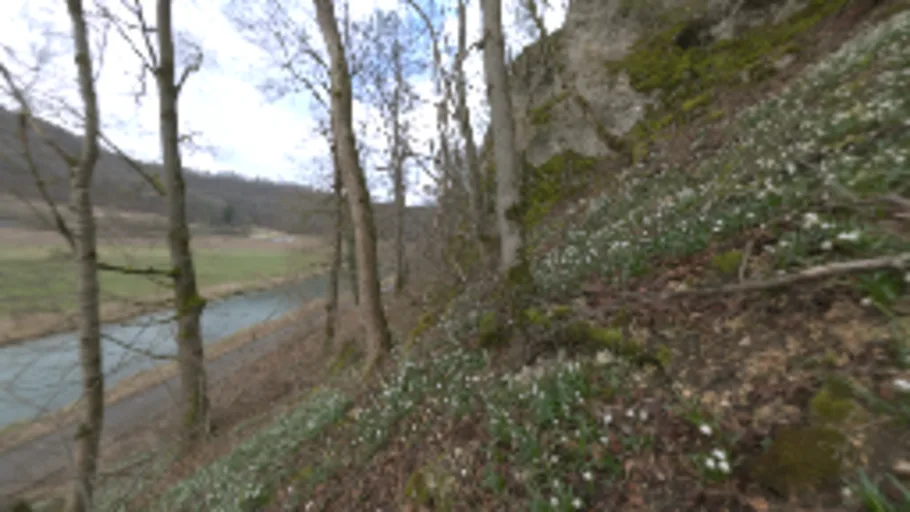 Flower Hillside (2K)