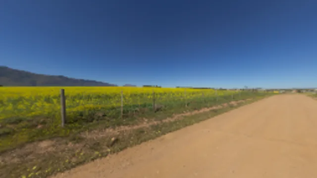 Flower Road (2K)