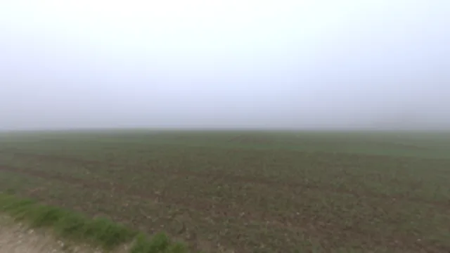 Misty Farm Road (2K)