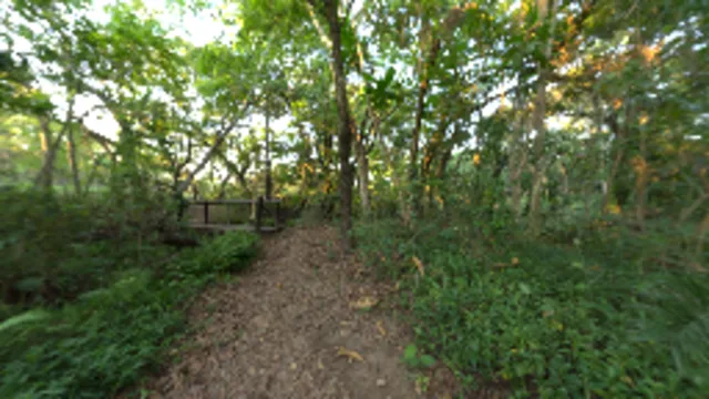 River Walk 1 (2K)