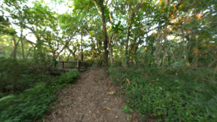 River Walk 1 (2K)