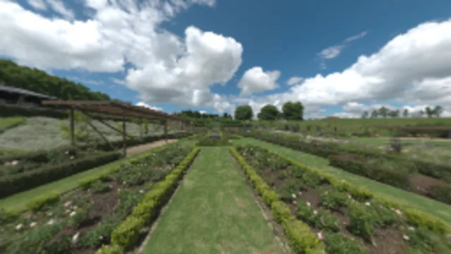 Symmetrical Garden 02 (2K)