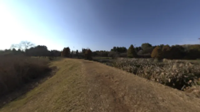 Winter Sky (2K)