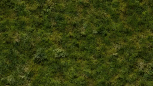 Bowie Grass