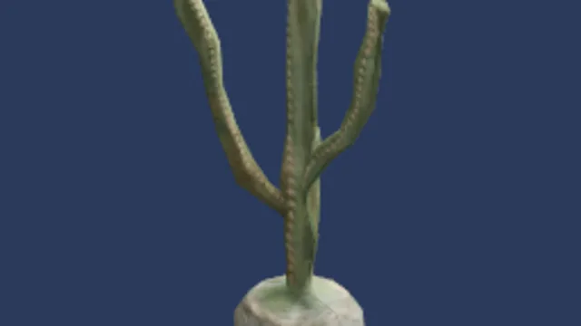 Cactus Model 01