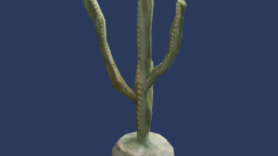Cactus Model 01