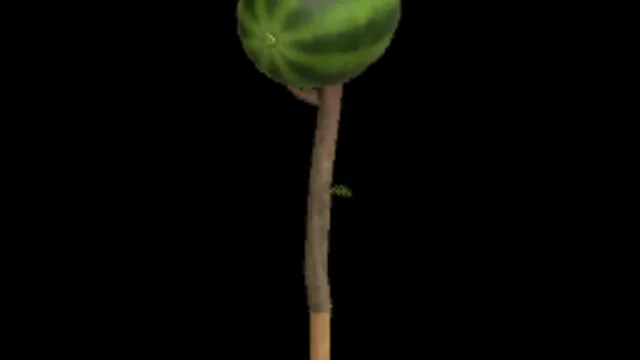 Melon Stick