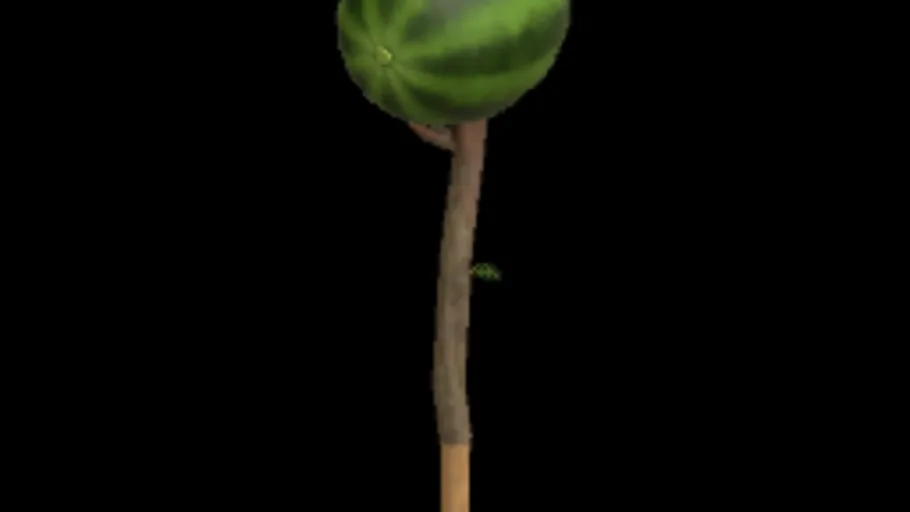 Melon Stick
