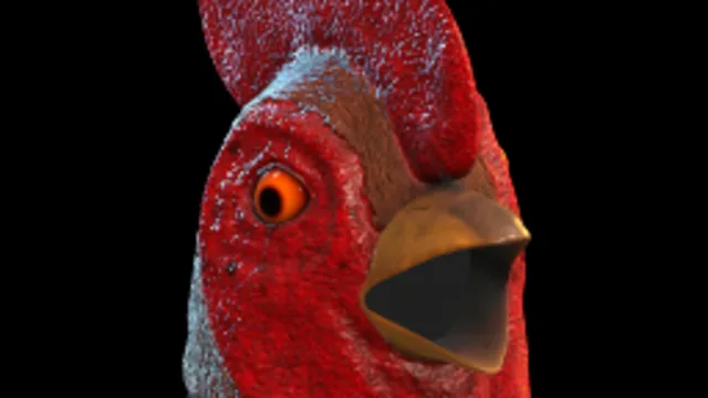 Rooster Head