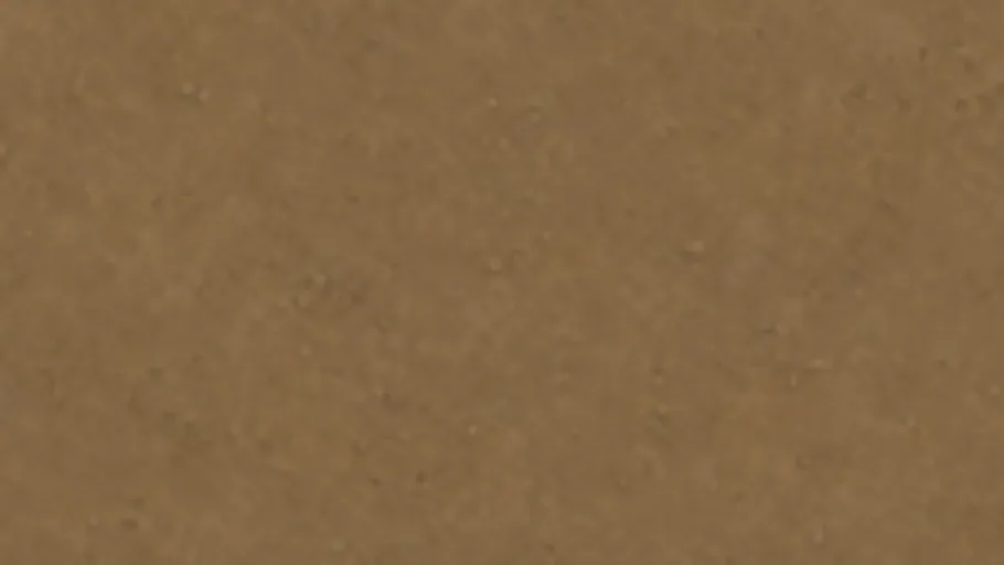 Dry Sandy Soil