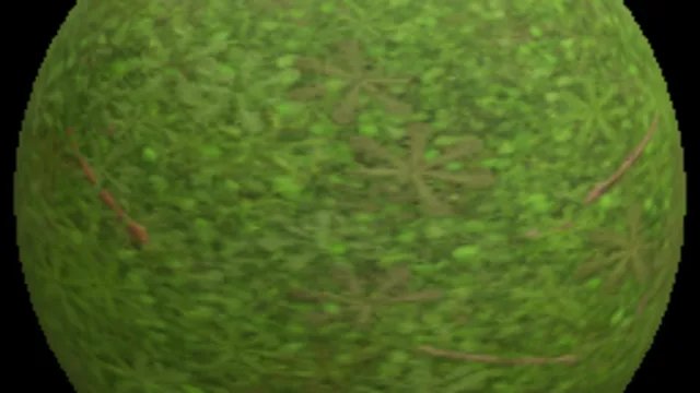 grass 007_1k