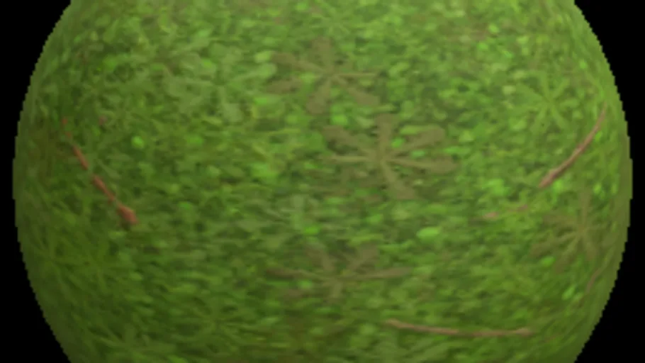 grass 007_1k