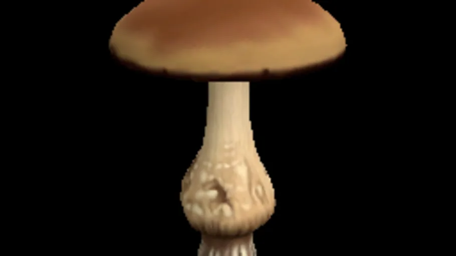 Mushroom 03